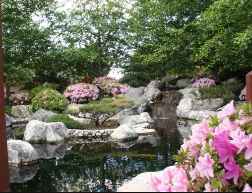 japanese garden 1